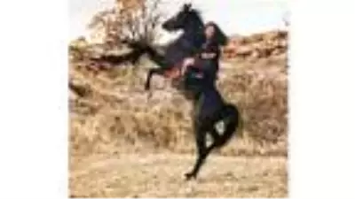 Ebru Şahin: Yazılan her şey yanlıştı Ebru Şahin: Yazılan her şey yanlıştı
