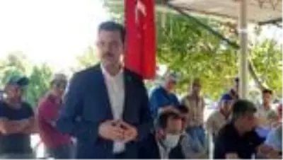 - Esgin devreye girdi, domates üreticisi nefes aldı - Esgin devreye girdi, domates üreticisi nefes aldı