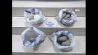 Son dakika haberleri: Metropollerde bombalı eylem hazırlığındaki terörist ve 37 kilogram TNT Adana'da ele geçirildi Son dakika haberleri: Metropollerde bombalı eylem hazırlığındaki terörist ve 37 kilogram TNT Adana'da ele geçirildi