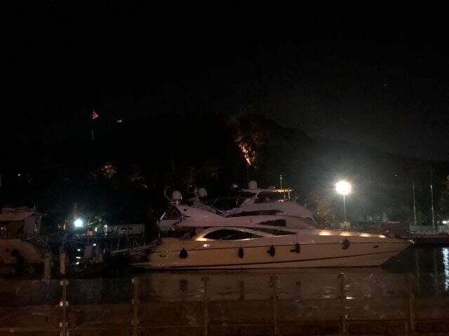 Sarıyer Emirgan Korusu'nda yangın çıktı