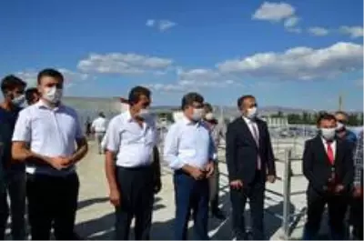 Üreticilere damızlık koç dağıtıldı Üreticilere damızlık koç dağıtıldı