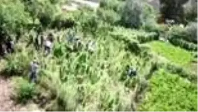 Son dakika haberleri: Bitlis'te 48 kilogram kubar esrar ve 2 bin 345 kök kenevir ele geçirildi Son dakika haberleri: Bitlis'te 48 kilogram kubar esrar ve 2 bin 345 kök kenevir ele geçirildi