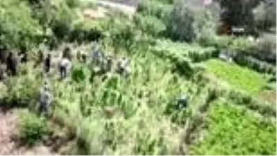 Son dakika haberleri: Bitlis'te 48 kilogram kubar esrar ve 2 bin 345 kök kenevir ele geçirildi Son dakika haberleri: Bitlis'te 48 kilogram kubar esrar ve 2 bin 345 kök kenevir ele geçirildi