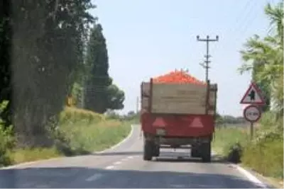 Domates üreticileri salça fabrikası önünde uzun kuyruklar oluşturdu Domates üreticileri salça fabrikası önünde uzun kuyruklar oluşturdu