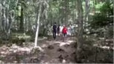 Kamp karavanı turizminin ilgisi Karadeniz'e yöneldi Kamp karavanı turizminin ilgisi Karadeniz'e yöneldi