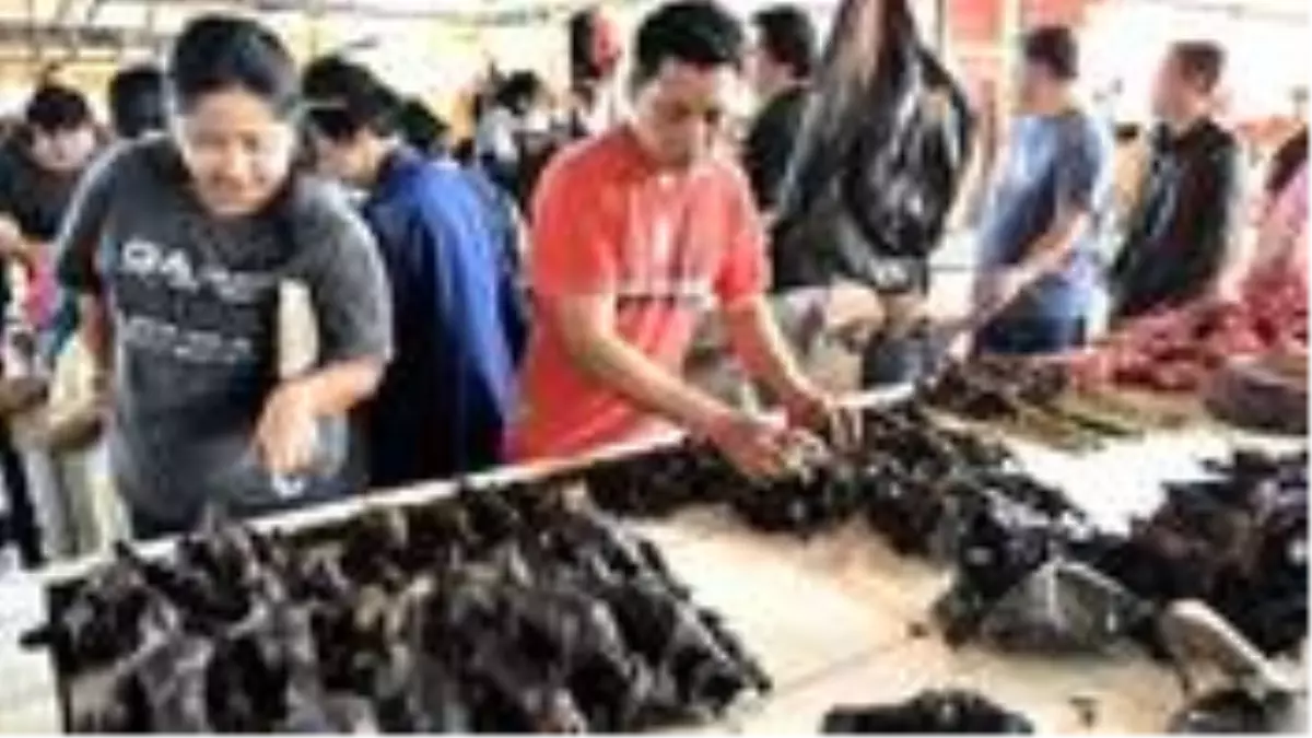 Koronavirüs 2012 yılında Çin'de bir madende ortaya çıkmış olabilir