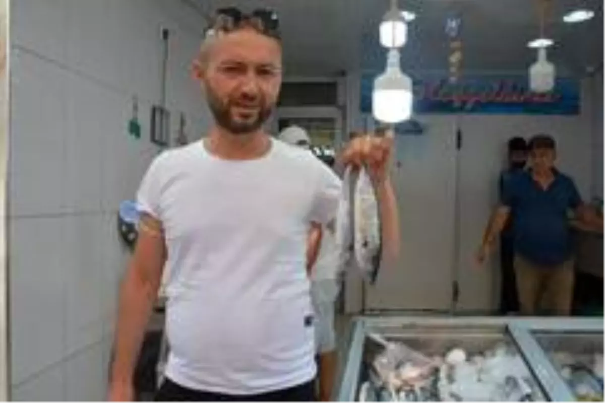 Palamut sezonu heyecanı