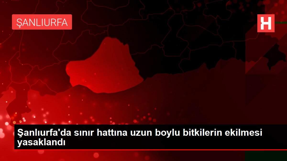Şanlıurfa'da sınır hattına uzun boylu bitkilerin ekilmesi yasaklandı