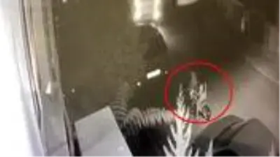 3 çocuğun kıl payı ölümden döndüğü anlar saniye saniye kamerada! 3 çocuğun kıl payı ölümden döndüğü anlar saniye saniye kamerada!