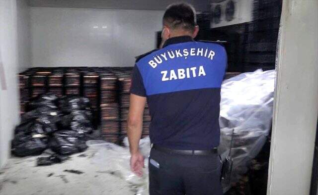 Adana'da 38 ton bozuk et ele geçirildi
