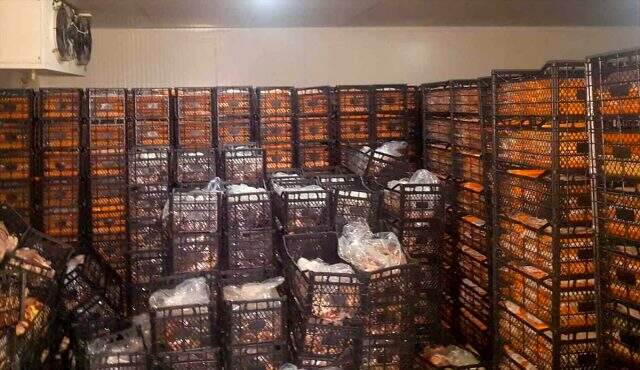 Adana'da 38 ton bozuk et ele geçirildi