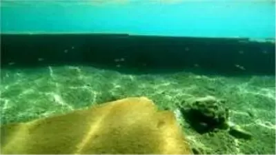 Deniz dibindeki utanç duvarı Bakanlığı harekete geçirdi Deniz dibindeki utanç duvarı Bakanlığı harekete geçirdi