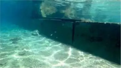 Deniz dibindeki utanç duvarı Bakanlığı harekete geçirdi Deniz dibindeki utanç duvarı Bakanlığı harekete geçirdi