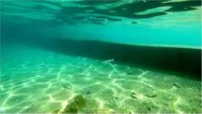 Deniz dibindeki utanç duvarı Bakanlığı harekete geçirdi Deniz dibindeki utanç duvarı Bakanlığı harekete geçirdi