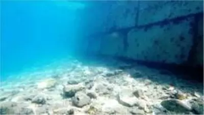 Deniz dibindeki utanç duvarı Bakanlığı harekete geçirdi Deniz dibindeki utanç duvarı Bakanlığı harekete geçirdi