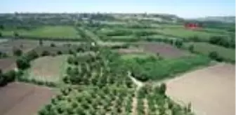 Unesco Dünya Kültür Mirası: Son dakika... DİYARBAKIR HEVSEL ÜRETİCİSİ, PAZAR YERİ İSTİYOR Unesco Dünya Kültür Mirası: Son dakika... DİYARBAKIR HEVSEL ÜRETİCİSİ, PAZAR YERİ İSTİYOR