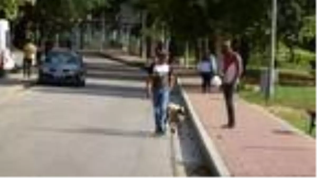 Kuzusunu sokaklarda gezdiriyor