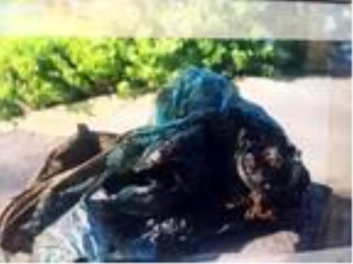 Son dakika haber... Porsuk Çayı'nda, balıkçıların oltasına 'el bombası' takıldı