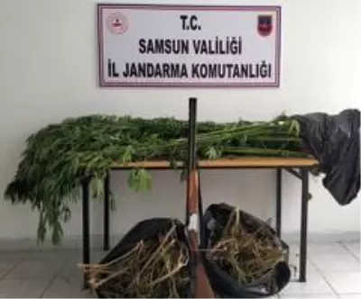 Son Dakika | Samsun'da uyuşturucu operasyonları: 12 gözaltı Son Dakika | Samsun'da uyuşturucu operasyonları: 12 gözaltı
