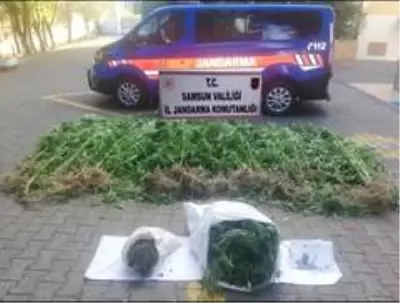 Son Dakika | Samsun'da uyuşturucu operasyonları: 12 gözaltı Son Dakika | Samsun'da uyuşturucu operasyonları: 12 gözaltı