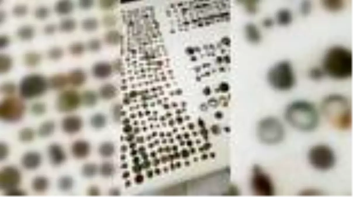 Son dakika haber: Tarihi eser operasyonu