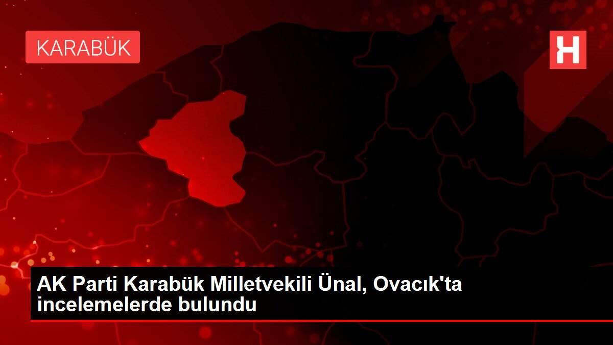 AK Parti Karabük Milletvekili Ünal, Ovacık'ta incelemelerde bulundu AK Parti Karabük Milletvekili Ünal, Ovacık'ta incelemelerde bulundu