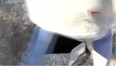 Aydın'da yazıtlı oda mezar bulundu İlk kez böylesine rastlandı Aydın'da yazıtlı oda mezar bulundu İlk kez böylesine rastlandı