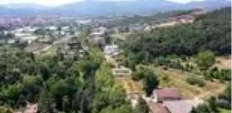 Yalova Belediyesi: Deniz kıyısından Termal Kaplıcalarına 'yeşil tünel'de keyifli yolculuk Yalova Belediyesi: Deniz kıyısından Termal Kaplıcalarına 'yeşil tünel'de keyifli yolculuk