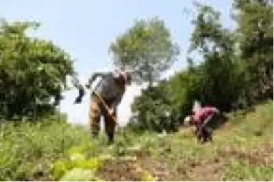 Huzur ortamının sağlanmasıyla Hakkari'nin köylerinde 25 yıl sonra yeniden tarım başladı Huzur ortamının sağlanmasıyla Hakkari'nin köylerinde 25 yıl sonra yeniden tarım başladı