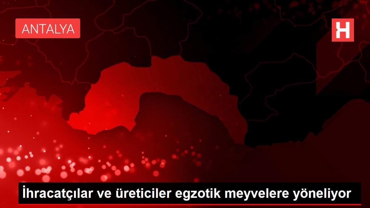 İhracatçılar ve üreticiler egzotik meyvelere yöneliyor
