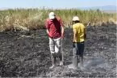 Son dakika haberi... Meteor yangını olduğu iddia edilen alanda mıknatıslarla gök taşı aradılar