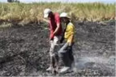 Son dakika haberi... Meteor yangını olduğu iddia edilen alanda mıknatıslarla gök taşı aradılar