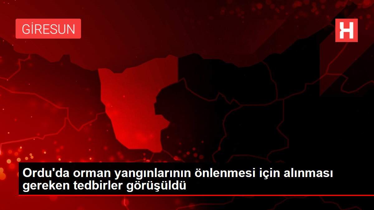 Son dakika... Ordu'da orman yangınlarının önlenmesi için alınması gereken tedbirler görüşüldü
