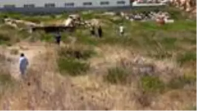 Ayvalık'ta ceset karaya vurdu Ayvalık'ta ceset karaya vurdu