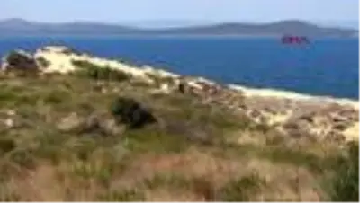Ayvalık'ta deniz kenarında erkek cesedi bulundu Ayvalık'ta deniz kenarında erkek cesedi bulundu