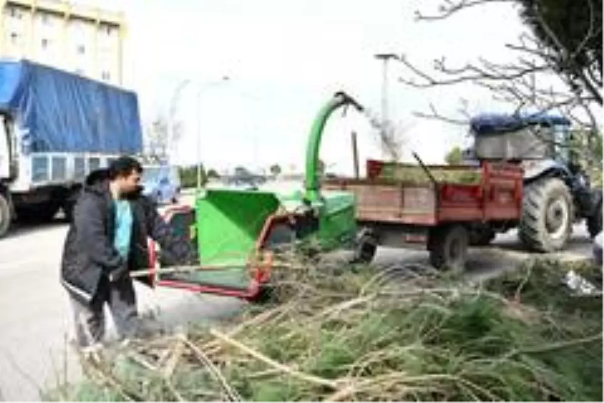 Çayırova, budayarak gübre üretiyor
