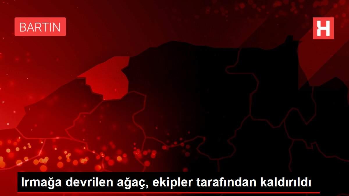 Irmağa devrilen ağaç, ekipler tarafından kaldırıldı