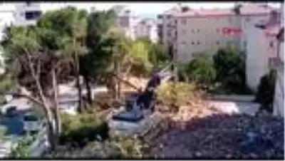 KARTAL'DA BİNA YIKIMI SIRASINDA ÇAM AĞAÇLARI TAHRİP EDİLDİ -1 KARTAL'DA BİNA YIKIMI SIRASINDA ÇAM AĞAÇLARI TAHRİP EDİLDİ -1