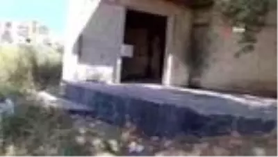 Kuşadası'nda 1500 yıllık zeytin ağacının dibine villa yaptılar Kuşadası'nda 1500 yıllık zeytin ağacının dibine villa yaptılar