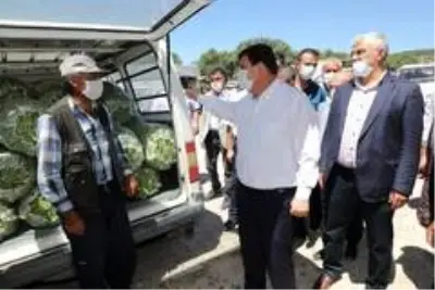 Son dakika haberi... 3 bin 500 kişinin yevmiyeyle çalıştığı ovada fasulye hasadı başladı Son dakika haberi... 3 bin 500 kişinin yevmiyeyle çalıştığı ovada fasulye hasadı başladı