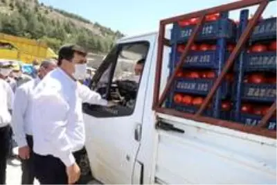 Son dakika haberi... 3 bin 500 kişinin yevmiyeyle çalıştığı ovada fasulye hasadı başladı Son dakika haberi... 3 bin 500 kişinin yevmiyeyle çalıştığı ovada fasulye hasadı başladı