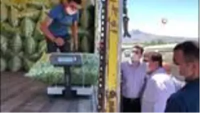 Son dakika haber... 3 bin 500 kişinin yevmiyeyle çalıştığı ovada fasulye hasadı başladı Son dakika haber... 3 bin 500 kişinin yevmiyeyle çalıştığı ovada fasulye hasadı başladı