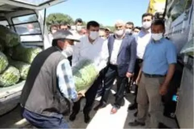 Son dakika haberi... 3 bin 500 kişinin yevmiyeyle çalıştığı ovada fasulye hasadı başladı Son dakika haberi... 3 bin 500 kişinin yevmiyeyle çalıştığı ovada fasulye hasadı başladı