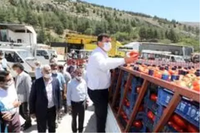 Son dakika haberi... 3 bin 500 kişinin yevmiyeyle çalıştığı ovada fasulye hasadı başladı Son dakika haberi... 3 bin 500 kişinin yevmiyeyle çalıştığı ovada fasulye hasadı başladı