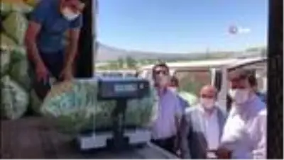 Son dakika haber... 3 bin 500 kişinin yevmiyeyle çalıştığı ovada fasulye hasadı başladı Son dakika haber... 3 bin 500 kişinin yevmiyeyle çalıştığı ovada fasulye hasadı başladı