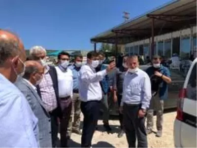 Son dakika haberi... 3 bin 500 kişinin yevmiyeyle çalıştığı ovada fasulye hasadı başladı Son dakika haberi... 3 bin 500 kişinin yevmiyeyle çalıştığı ovada fasulye hasadı başladı