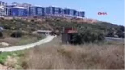 AYDIN Kuşadası'nda 1500 yıllık zeytin ağacının yanına villa yaptılar AYDIN Kuşadası'nda 1500 yıllık zeytin ağacının yanına villa yaptılar