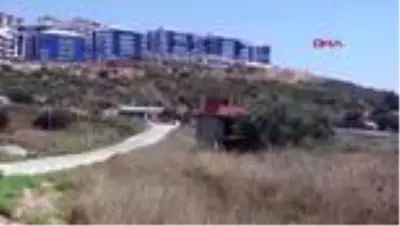 AYDIN Kuşadası'nda 1500 yıllık zeytin ağacının yanına villa yaptılar AYDIN Kuşadası'nda 1500 yıllık zeytin ağacının yanına villa yaptılar