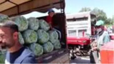 Son dakika! İnsuyu fasulyesi 3 lira 60 kuruştan alıcı buluyor Son dakika! İnsuyu fasulyesi 3 lira 60 kuruştan alıcı buluyor