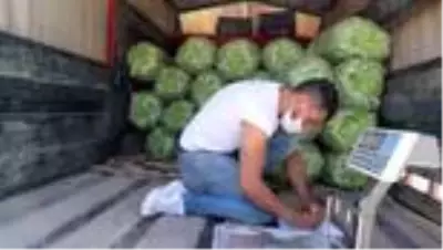 Son dakika! İnsuyu fasulyesi 3 lira 60 kuruştan alıcı buluyor Son dakika! İnsuyu fasulyesi 3 lira 60 kuruştan alıcı buluyor